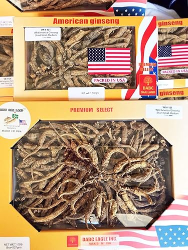 Miniatura 5 de 8OZ8.01 ozBox American Wild Ginseng 1520 Years, Wisconsin Whole Ginseng Root Hand-Selected Cultivated American Wisconsin Ginseng WI 131#