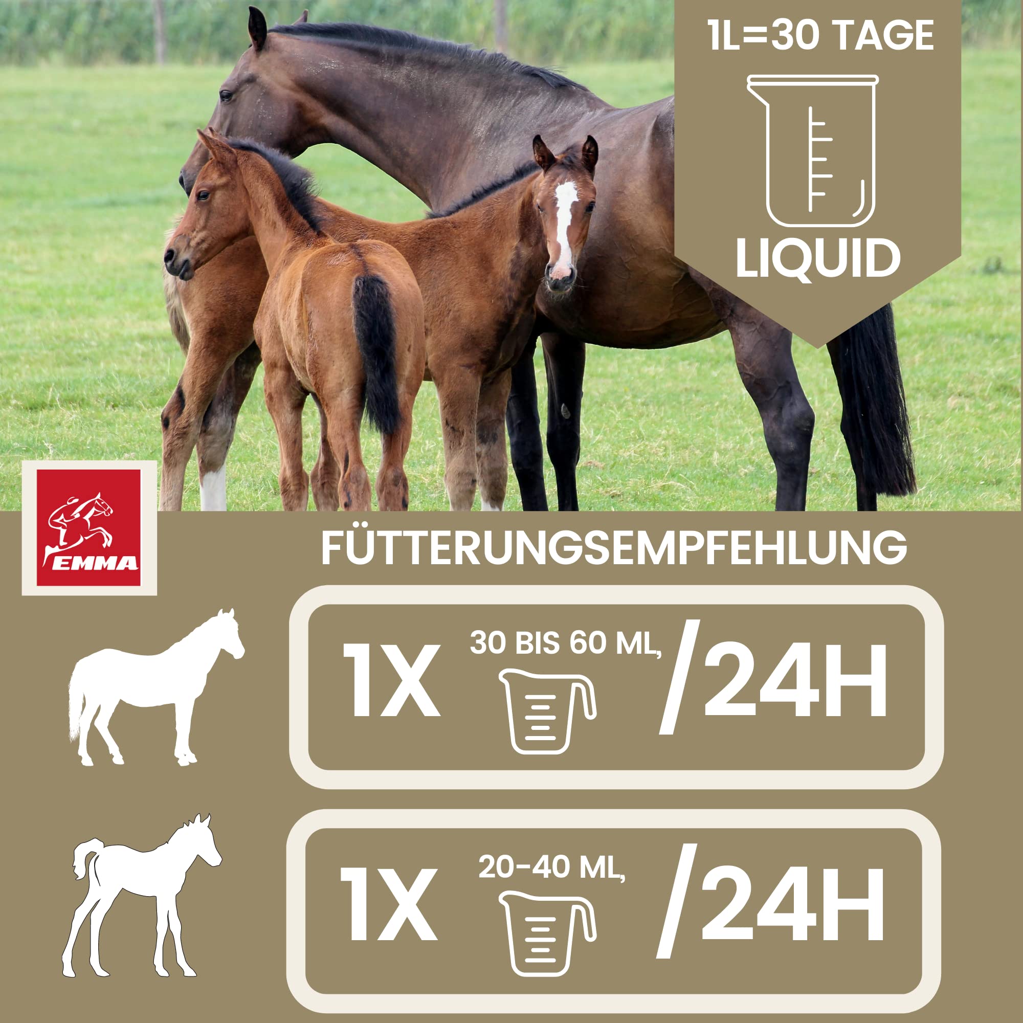 Levadura de Cerveza Caballos 1L Vitaminas B Minerales Oligoelementos - Protección del Estómago Intestino Digestión Metabolismo Pelaje Brillante Piel - después de Diarrea Vómito Estrés Hídrico Gusano