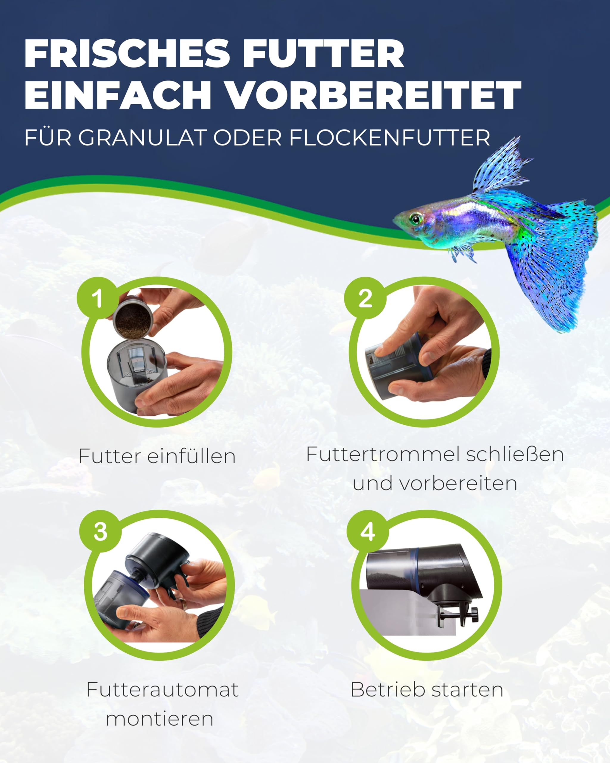 HOBBY Aquaristik Easy Feeder I programmierbarer Futterautomat für Aquarien I Fischfutter-Spender für bis zu 4 Fütterungen pro Tag I 100g / 300ml Kapazität I Aquarium-Futterspender