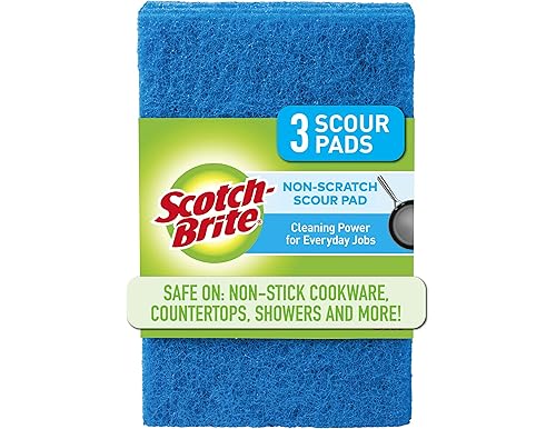 Best Blue Scotch Brite Pad in 2024: Explore Our Top Picks