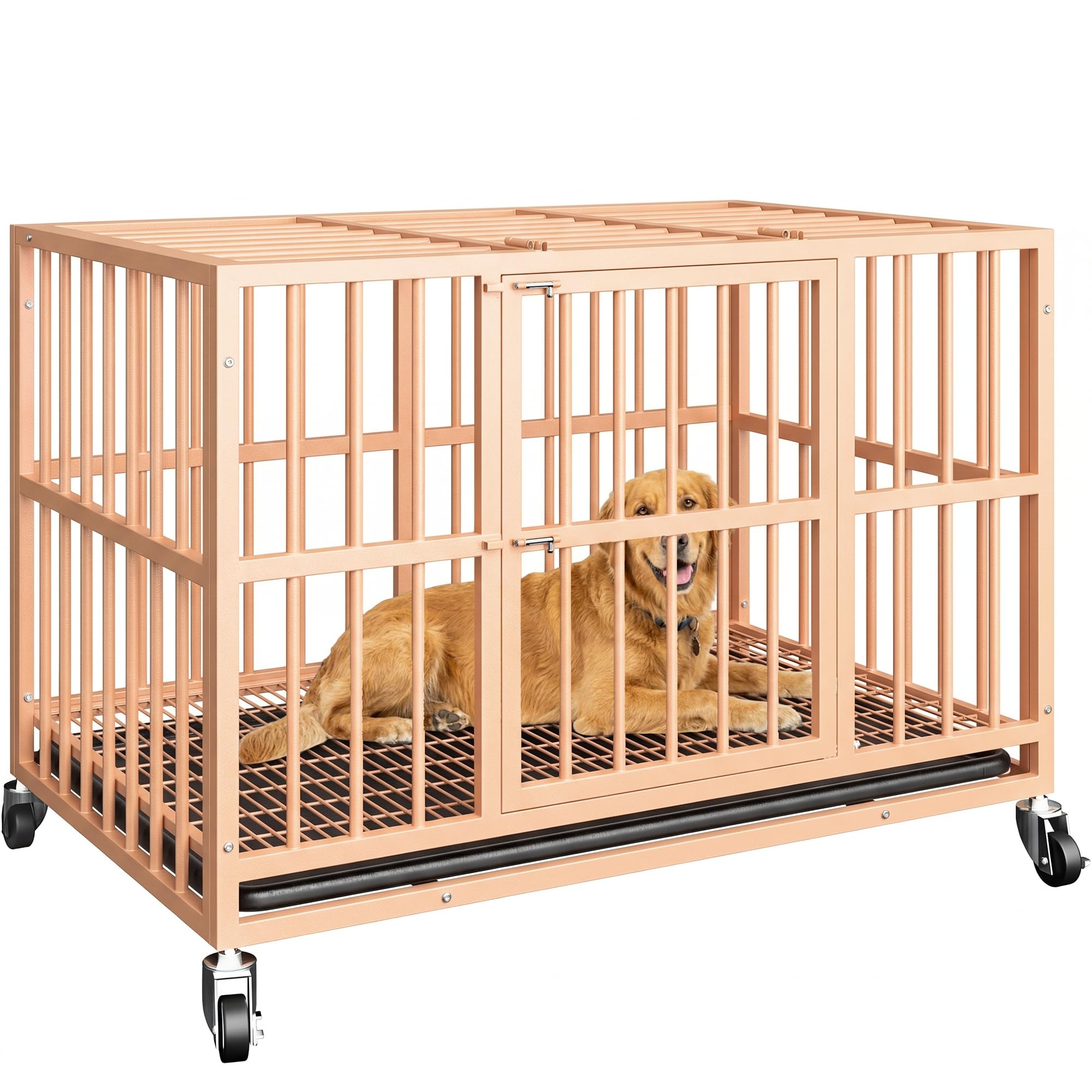 Orange 48 Inch Heavy Duty Dog Crate, Dog crates for Large Dogs