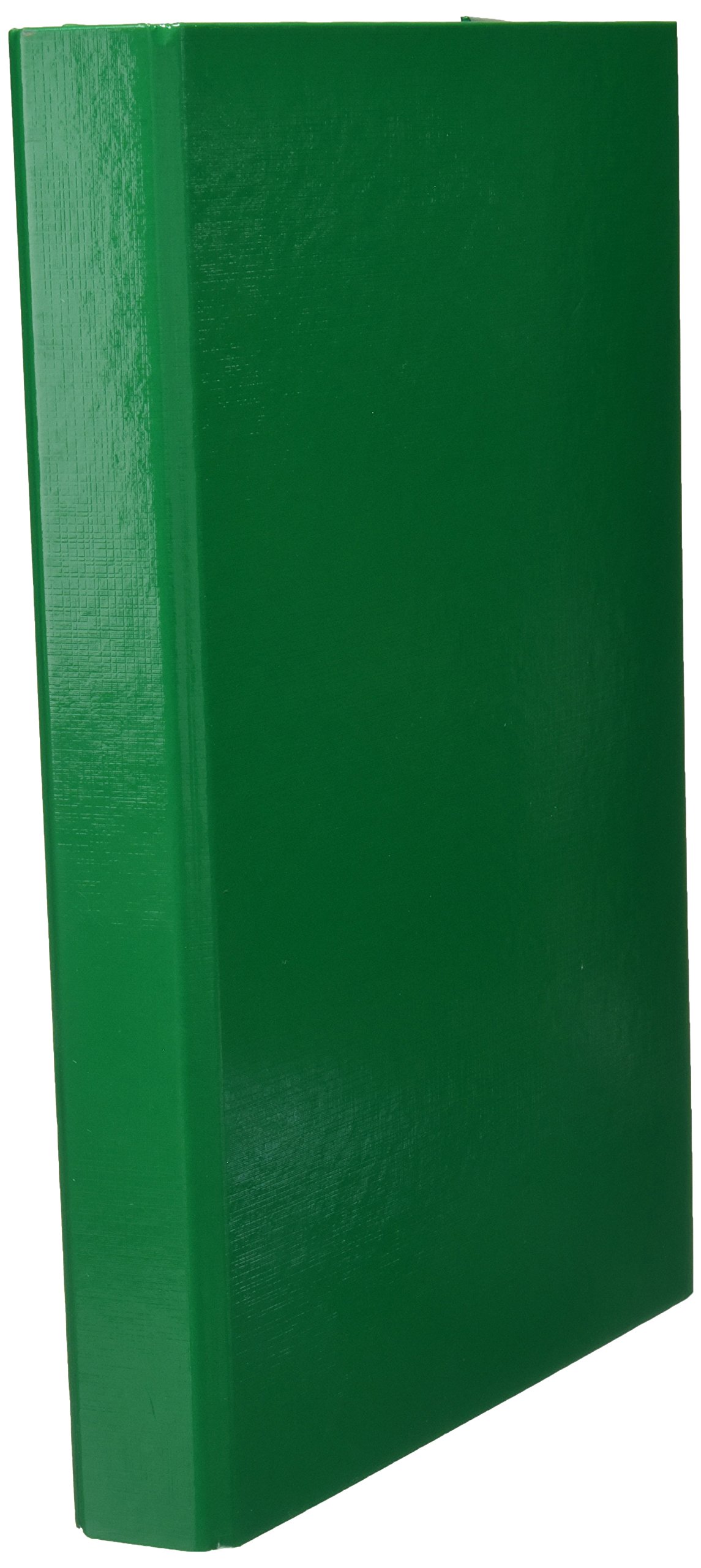 Pagna File Box for Files and Filing, Basic Colours, A4, 3 Inside Flaps, with Elastic Band Closure, Green
