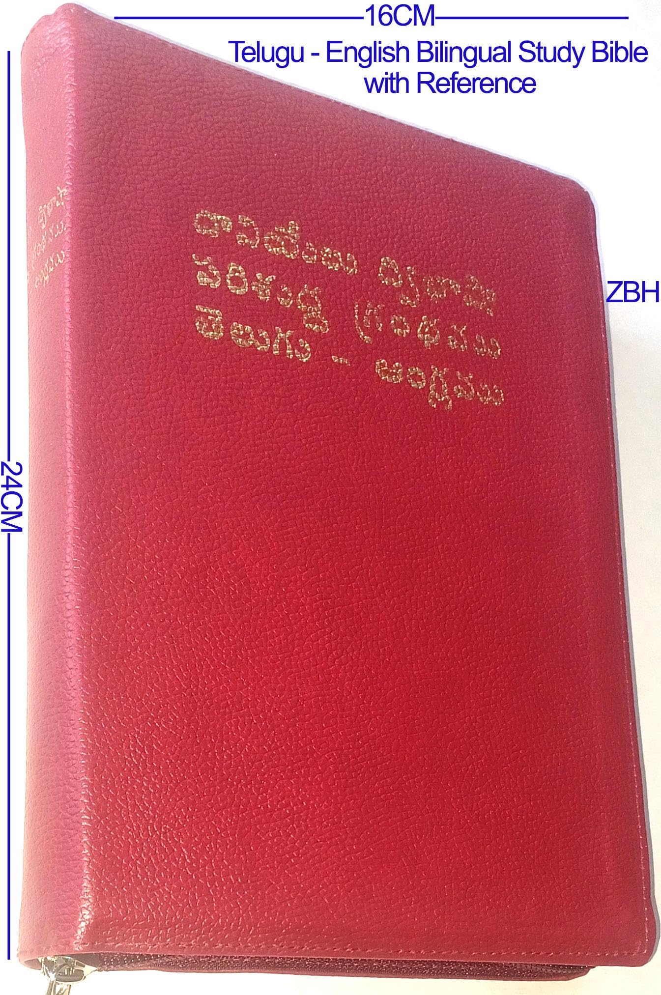 Holy Bible Telugu (O.V.)- English (KJV) –Bilingual Centre references Study Bible/Daniel publishing