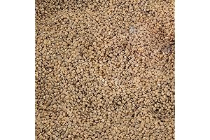 Kidfetti Play Pellets: A Fun and Educational Sensory Experience for Kids