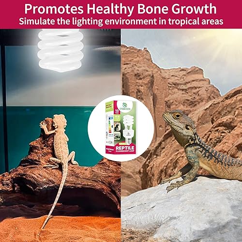 Miniatura 6 de REPTI HOME Luz de reptil UVB 150 bombilla UVA UVB de 13 W para reptiles lámpara de terrario compacta bombilla UVB de reptil para dragón barbudo