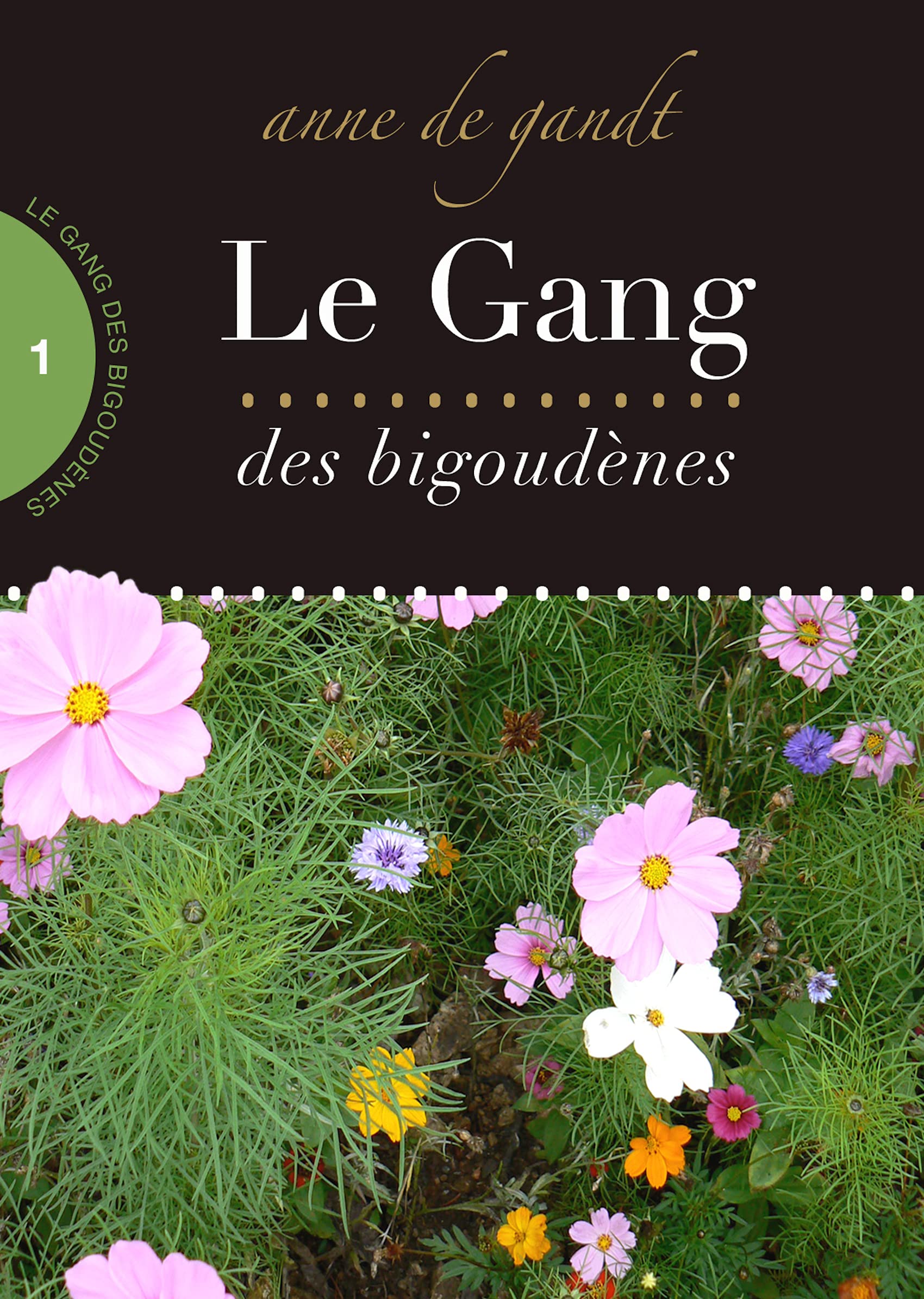 Le Gang des bigoudènes (Saison 1) (French Edition)
