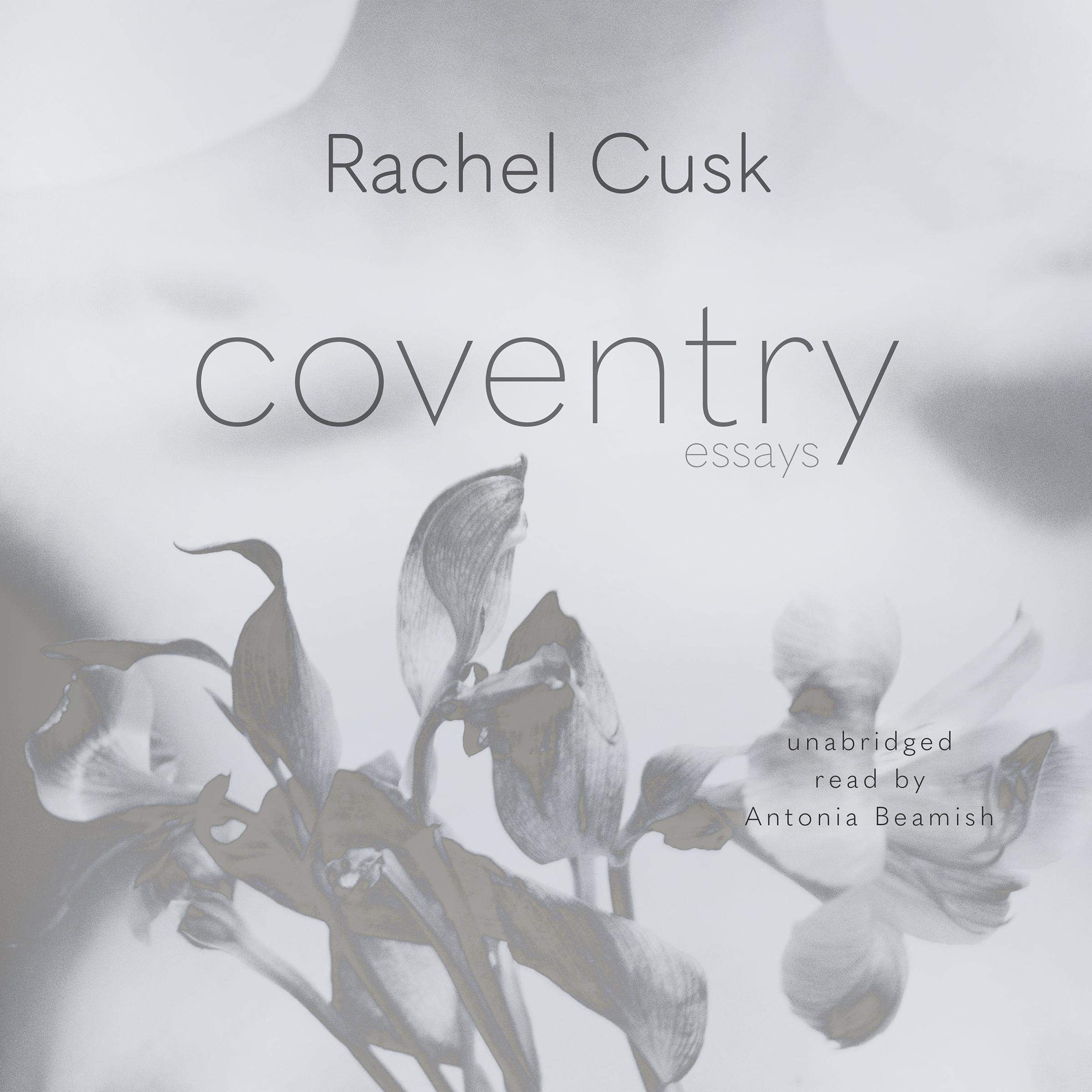 Cover art for Coventry