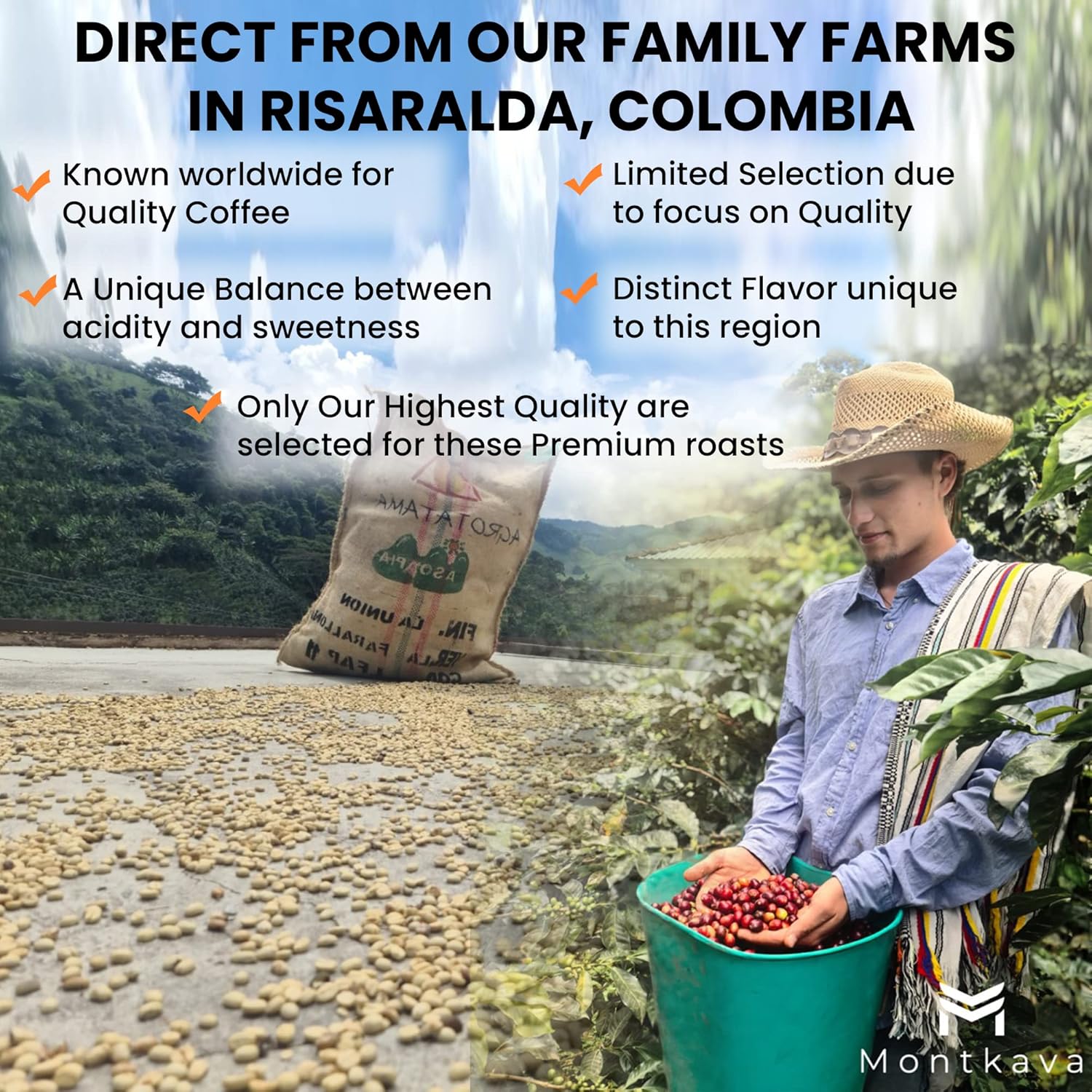 Montkava Gold Label Colombian Whole Beans Specialty Coffee (Dark Roast Colombian)