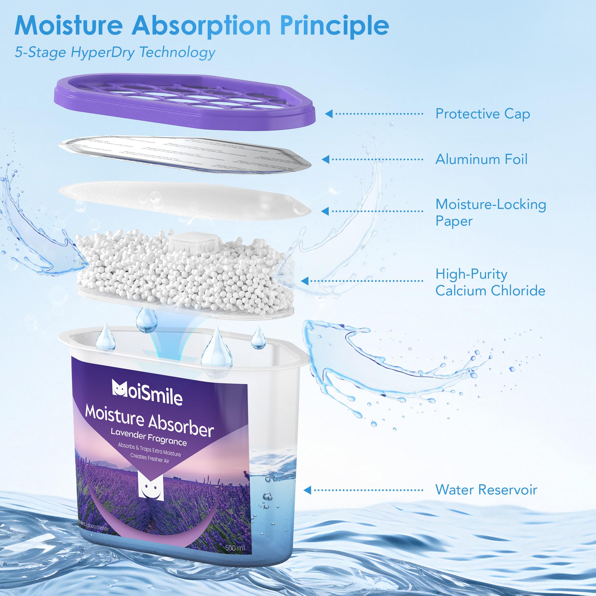 Moismlie Lavandella profumo assorbitore di umidità 6er Pack – riempibili 10,5 oz. Scatole di assorbitore di umidità per armadio, bagno, auto e cantina.