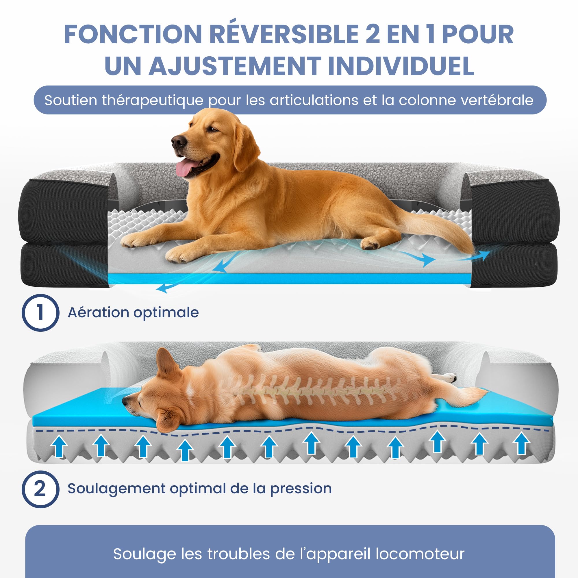 ELONEO lit orthopédique pour Chien Petits Chiens - 76x51x17cm, Panier avec Mousse à mémoire de Forme, Tapis imperméable et Lavable, Coussin et Matelas rembourré, Noir
