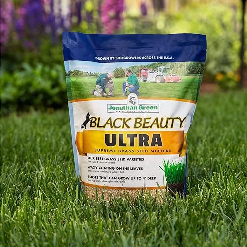 Miniatura 3 de BLACK BEAUTY Ultra Seed Mix