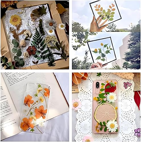 Miniatura 7 de WANDIC Accesorios de prensado de flores, 20 hojas de papel absorbente secado de hojas de flores para plantas de frutas prensado kit de reemplazo