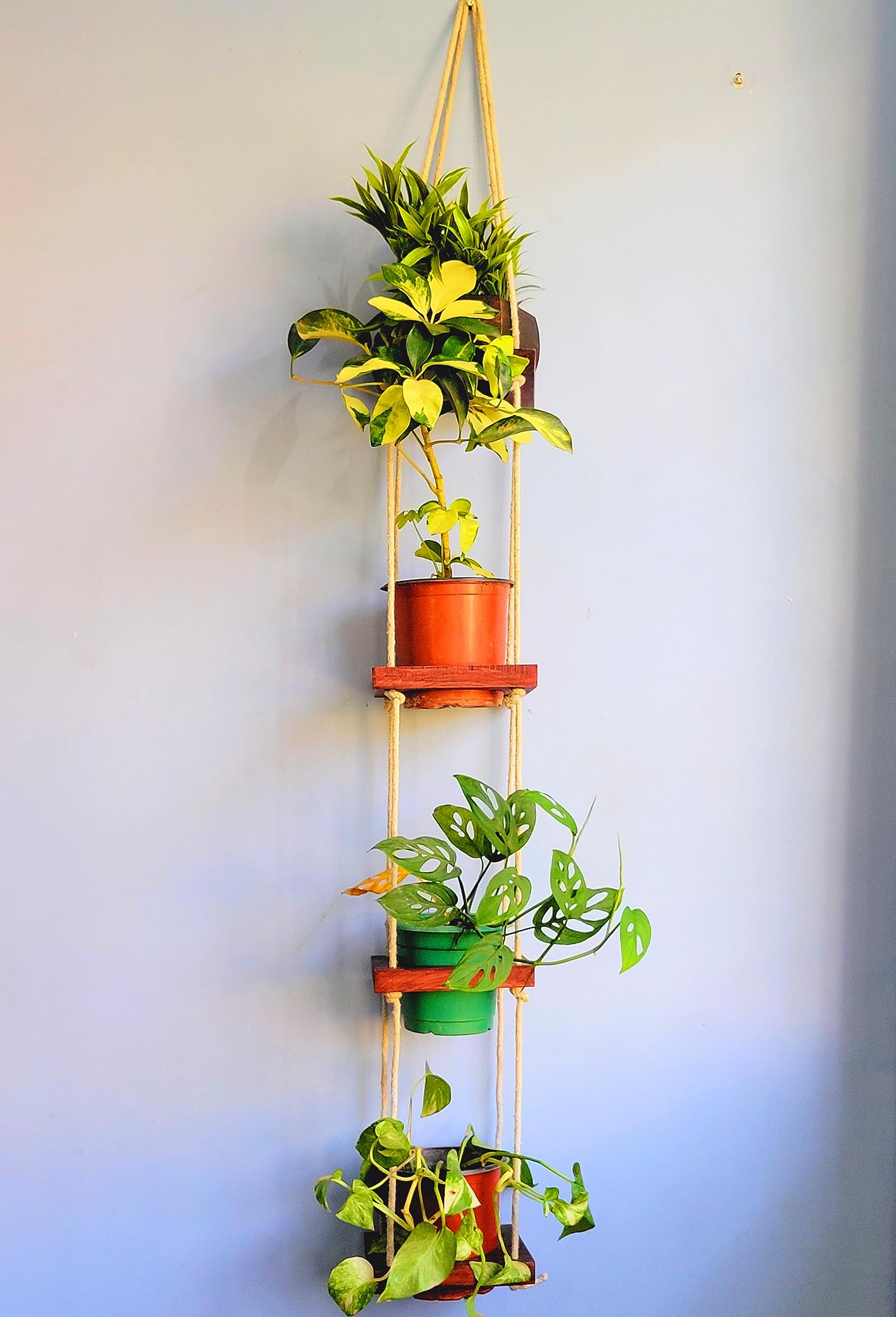 Decor Enterprise Wooden Planter Hanger for Balcony, Garden, Outdoor Indoor and Living Room - Decorative Flowers Pot Hanging for Home Decor - Wall Hanging Planters for Wall Decor (B0CDQQ4M41) Amazon Price History, Amazon Price Tracker