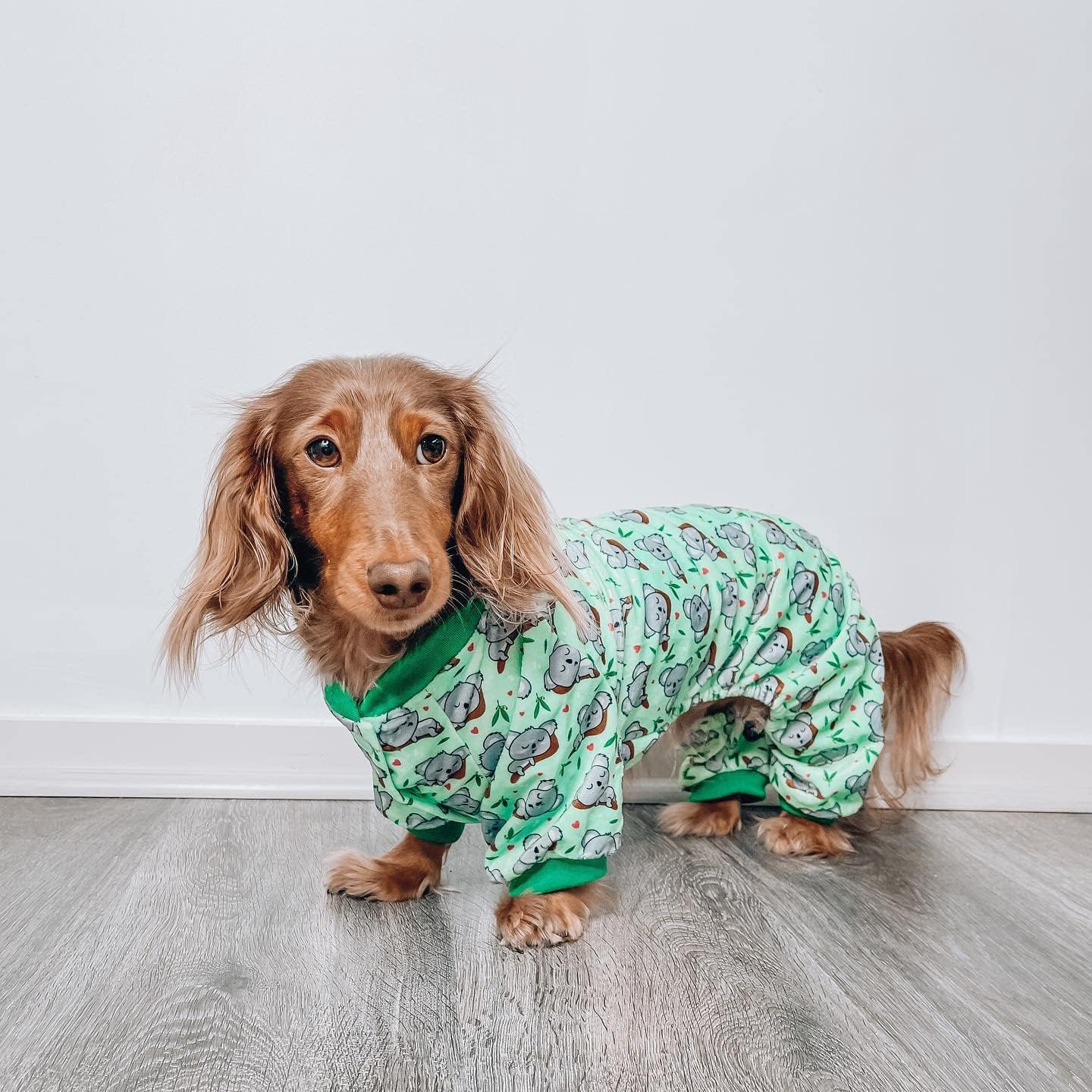 FuzzYard Dreamtime Koalas Mint Green Dog Pajamas (Size 7)