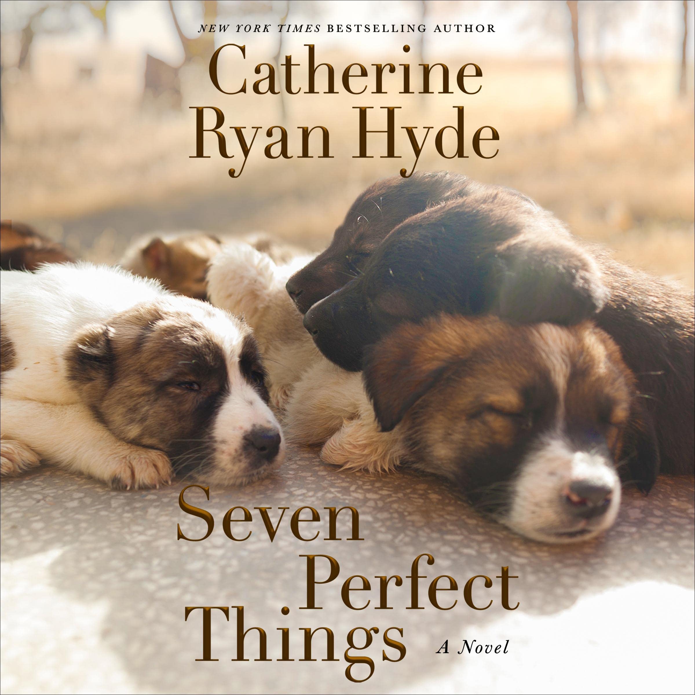 Cover art for Seven Perfect Things