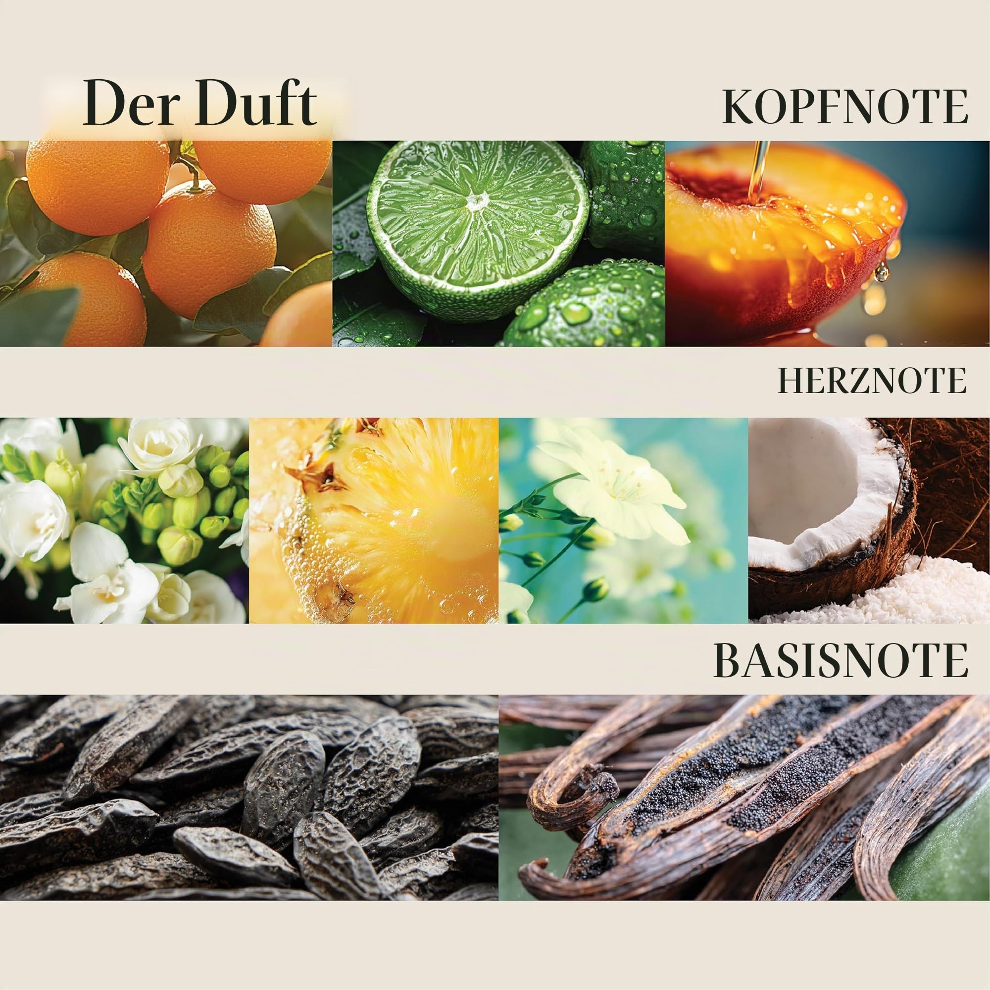 L'ANZA Heilende Feuchtigkeit Tamanu Cream Shampoo (1,000 ml), Reinigung & Feuchtigkeit Für Trockenes & Raues Haar, Lanza Tamanu mit Tamanu-Nussöl aus Tahiti, Sulfatfrei, Parabenfrei, Glutenfrei