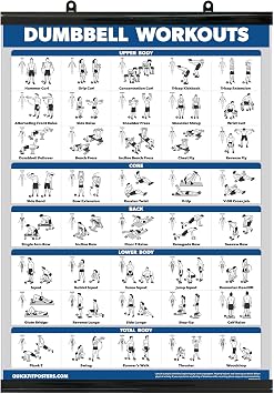 Exercise Poster for Dumbbell Training - Includes Instructions for Bodybuilding - Home Gym Chart - Laminated with Plastic Frame - 18" x 24"