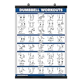 Palace Learning Exercise Poster for Dumbbell Training - Includes Instructions for Bodybuilding - Home Gym Chart - Laminated with Plastic Frame - 18 x 24