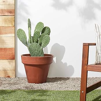 テラコッタ562 Amazon.co.jp: PORCER ハンドル付きアンティークテラコッタ花瓶 5.6