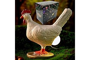 3D LED Hen Night Light: Illuminate Your Night with a Quirky Chicken Butt