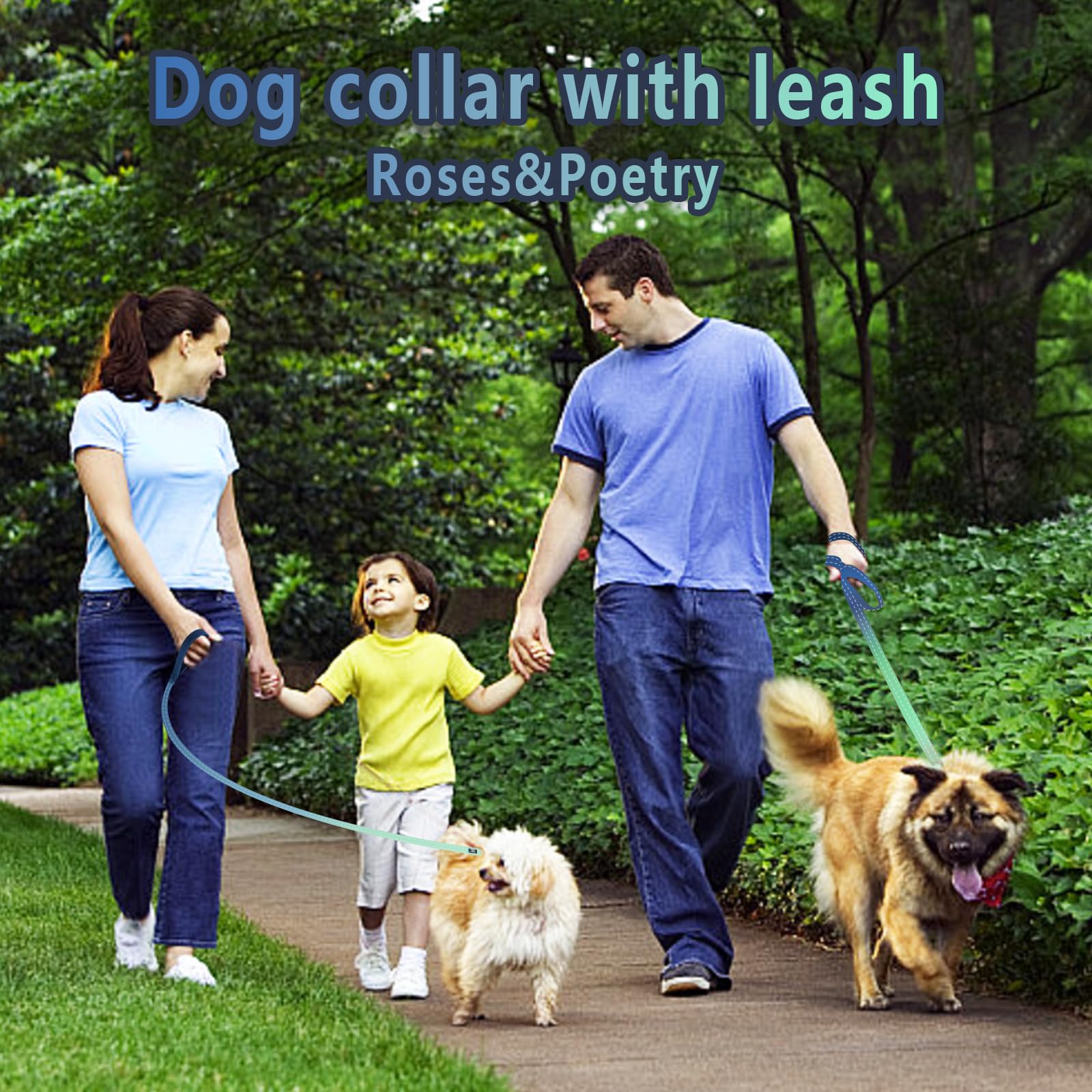 Roses&Poetry Medium Dog Collar and Lead Set BlueGreen, Puppy Reflective Leashes with Collars - Image 4