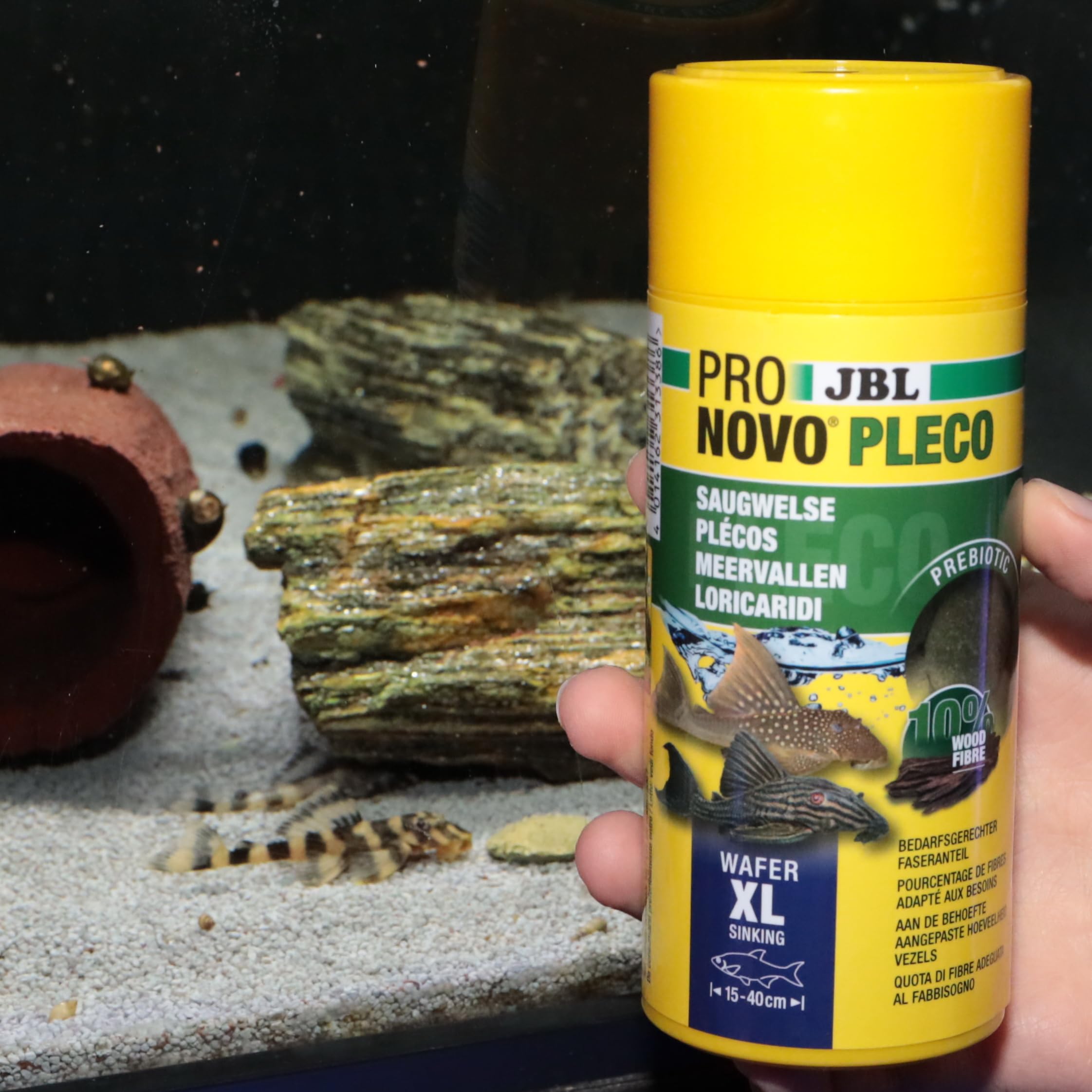 JBL Pronovo PLECO Wafer - Comida para Peces, Talla XL, 250 ml