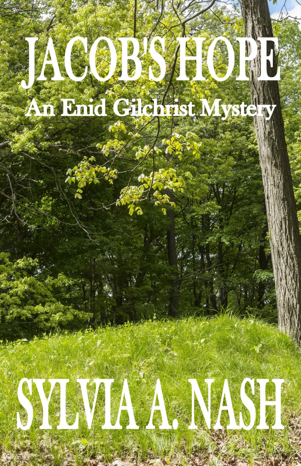 Jacob's Hope: An Enid Gilchrist Mystery