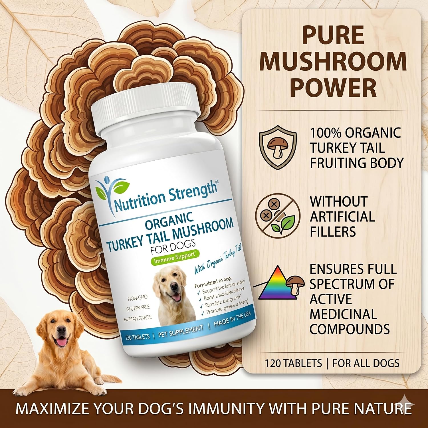 Organic Turkey Tail Mushroom for Dogs - 500mg High Potency Immune Support - Promotes Cellular Health, Antioxidant Activity & Senior Vitality - Non-GMO - 120 Chewable Tablets