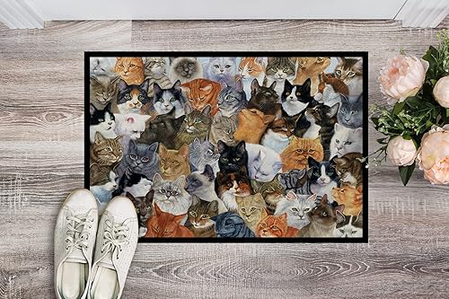 Miniatura 3 de Caroline's Treasures BDBA0414JMAT - Felpudo para puerta delantera, 24 x 36 pulgadas, para interiores y exteriores, para entrada, antideslizante,