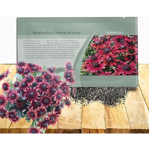 Outsidepride Cherry Brandy Rudbeckia Seeds - 25 Pcs. Annual, Easy to Grow & Self-Seeding Flower Seeds for Planting Red Blooms, for Low Maintenance Pollinator Gardens & Erosion Control