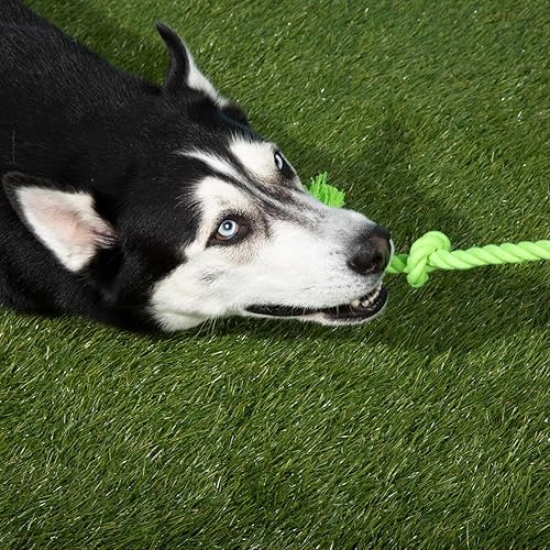 Miniatura 6 de Tumbo Juguete de cuerda resistente para perros  (verde, de 5 pies de largo, fuerte y duradero, cuerda de tirar con asa) juguete para perros TUG of