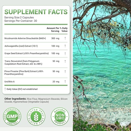 Miniatura 3 de Ribosida liposomal de nicotinamida con trans-resveratrol y urolitina A - Complejo 6 en 1 con Ashwagandha, semilla de uva y extracto de corteza de