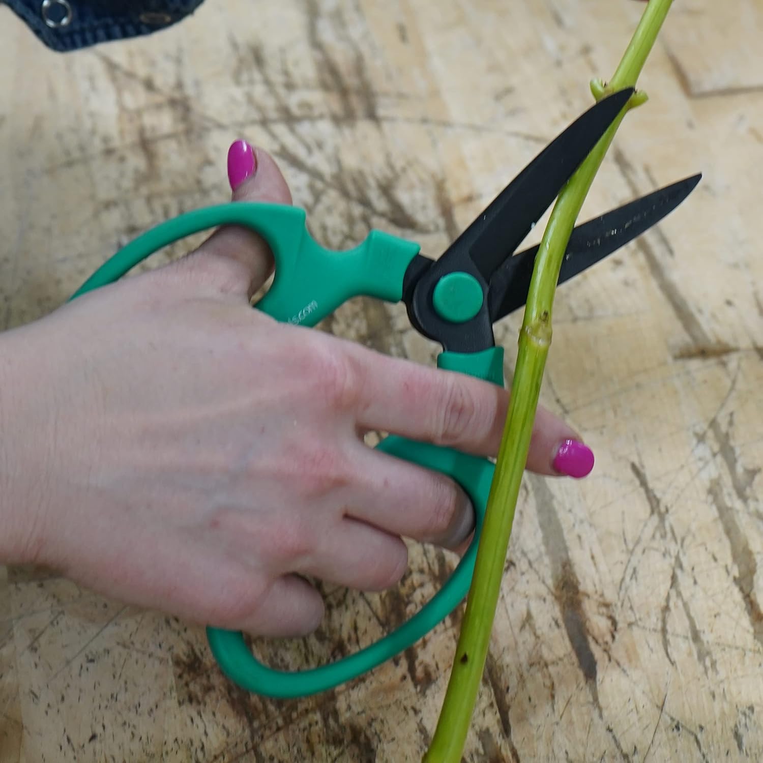 Flower Scissors With Black Carbon Steel Blades 7.6 Inch, Echinops (Teal)