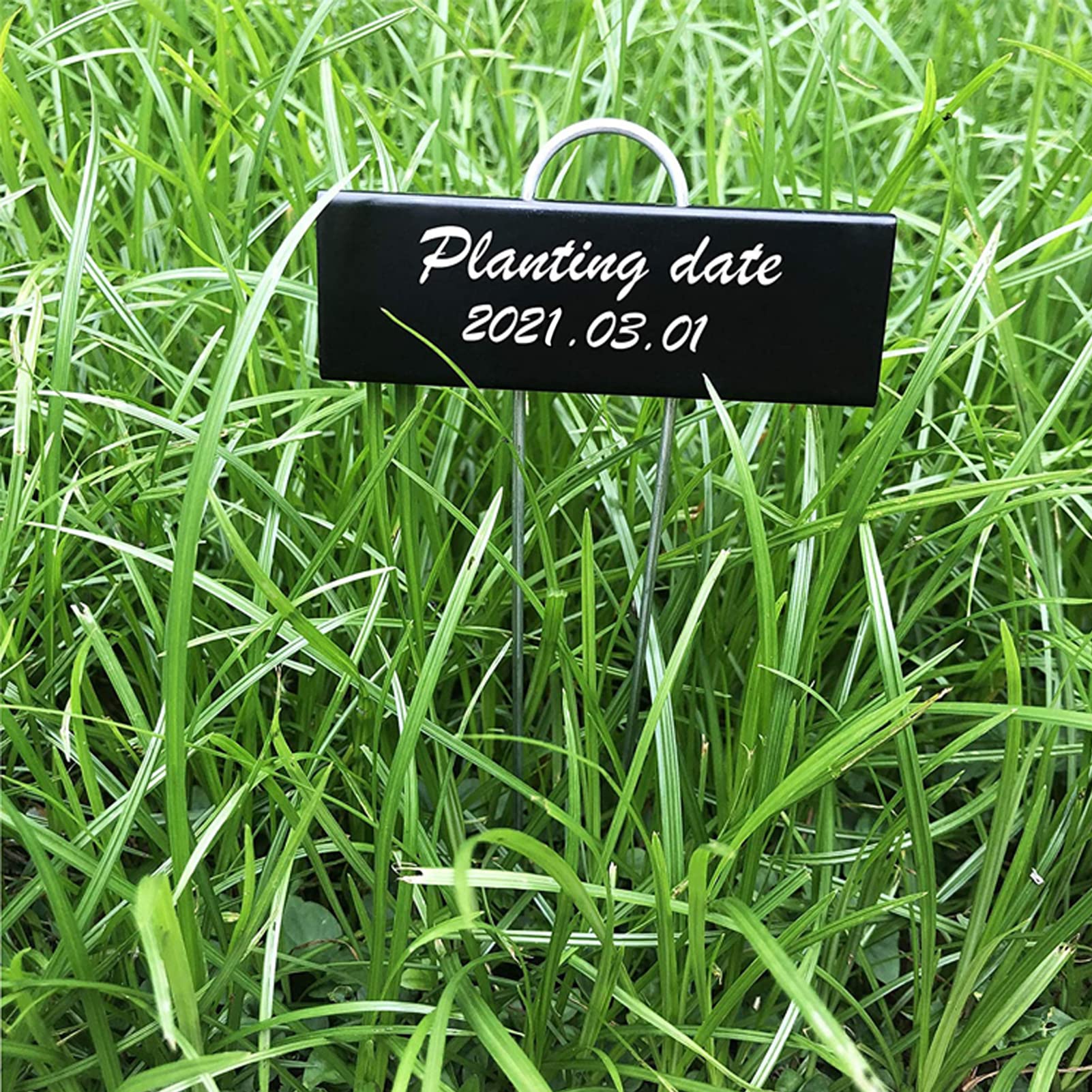 Metall Pflanzenschilder, Höhe 27.5cm Beschriftungsfeld 9x3cm, Wetterfeste Pflanzenstecker zum Beschriften für Garten, Hochbeet, Gewächshaus, Blumenbeet, Pflanzgefäße (30)