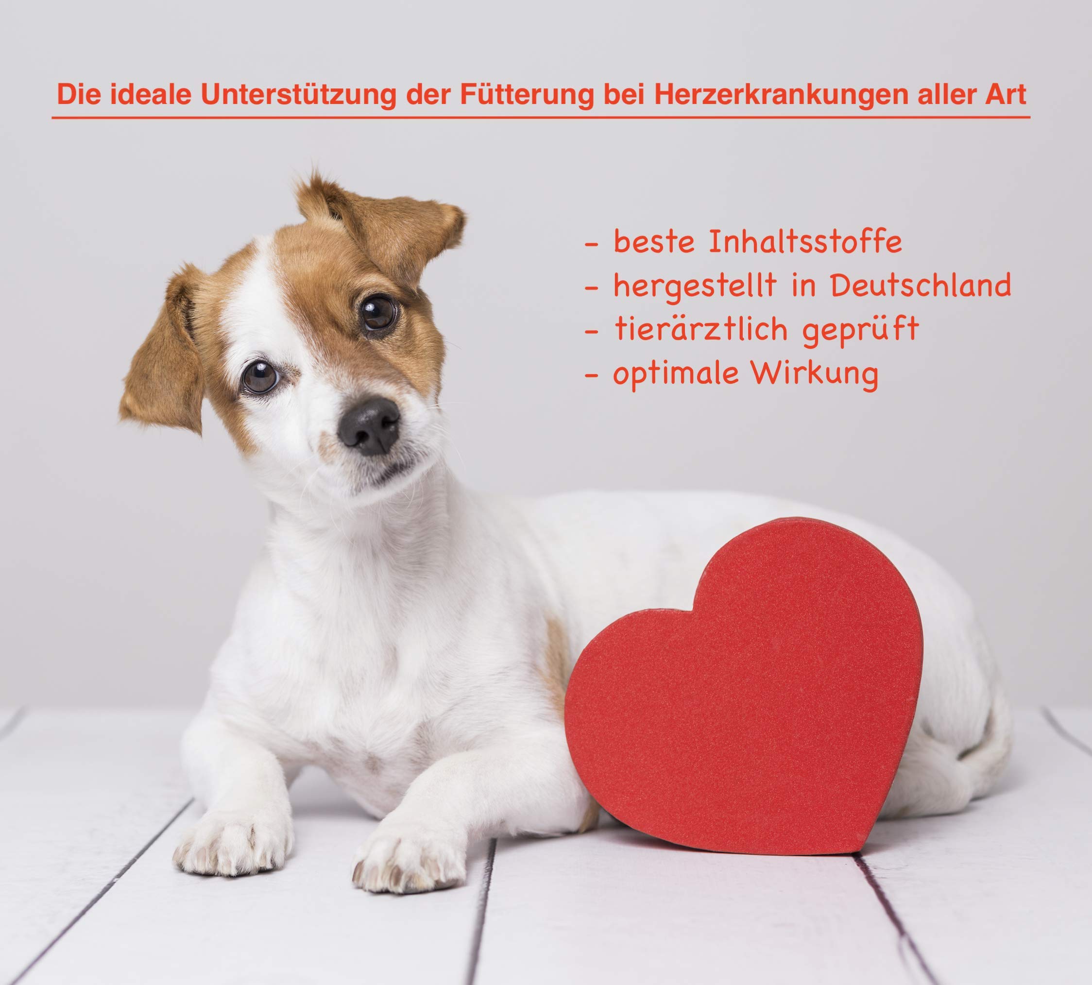 Doppelpack (200 Kapseln) CaniMove Cardio Maxi - effektive Unterstützung der Herzfunktion bei großen Hunderassen mit tierärztlicher Rezeptur