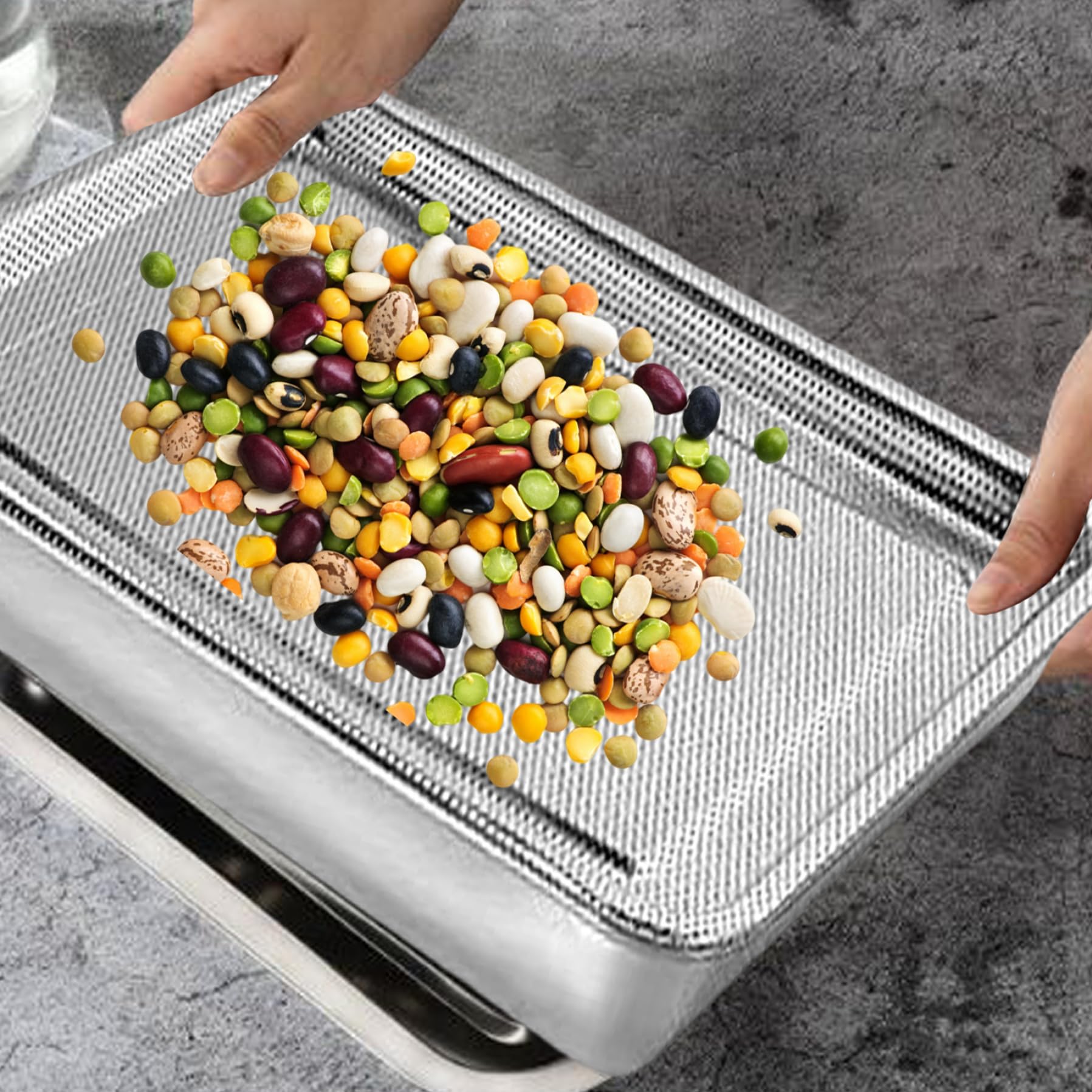 2 PCS Grain SPROURT Tray, Graine en Acier Inoxydable Kit de Plateau de Germination Rectangle des germes de Haricots d'herbe de blé Pousse Le Plateau pour la Fourniture de Jardin 26x20x5 cm