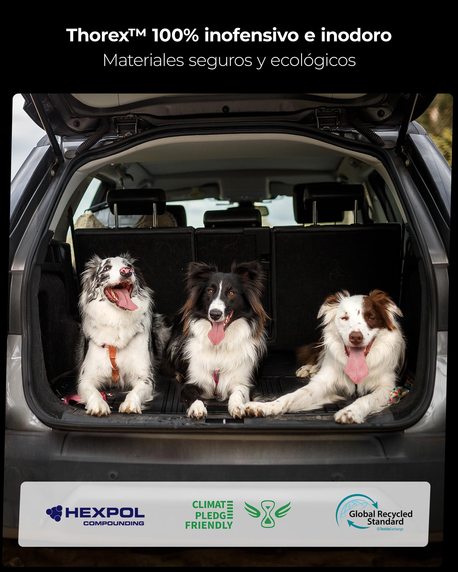 3W Alfombrilla Maletero para Xpeng G6 2023-2026,Thorex™ Alfombrillas Maletero de Coche para Todo Tipo de Clima para Xpeng G6 Juego Completo de Maletero, Accesorios, Negro