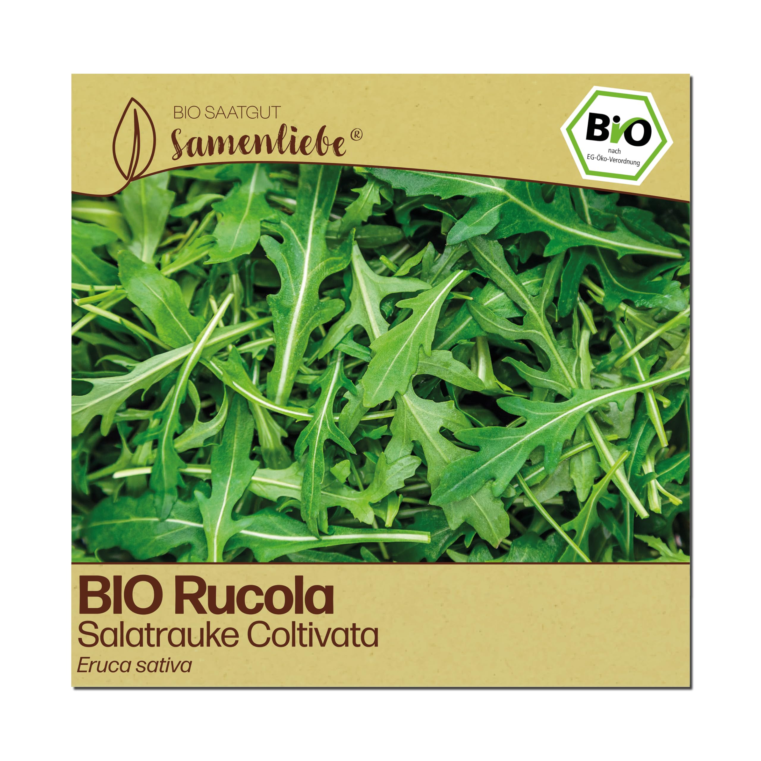 Samenliebe BIO Rucola Samen | Salatrauke Coltivata - milde Rauke - samenfestes BIO Saatgut