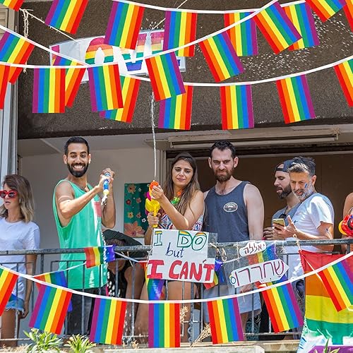 Miniatura 5 de Paquete de 4 banderas LGBTQ del orgullo del arco iris, banderas de cuerda del orgullo LGBTQ para festival del orgullo, carnaval, fiesta, día del