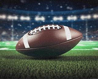 ZUVRDIAI DIY Paint by Number, Football and Grass Print Digital Painting, Beautiful Paint by Numbers, Paint by Numbers for Adults 16x20Inch
