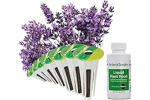 AeroGarden Lavender Seed Kit: An Aromatic Haven for Your Indoor Garden