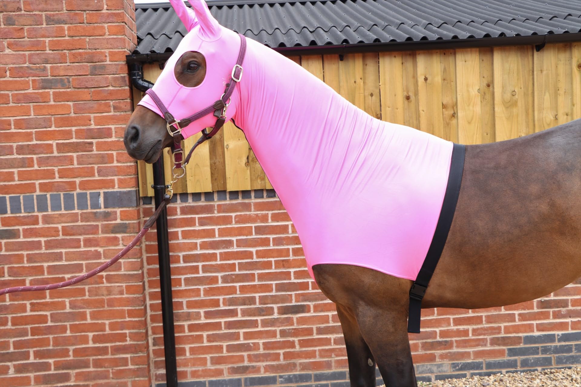 Ruggles Lycra Hood With Zip Available for Horse and Pony | Available with or without Ears | Very Useful to Keep Horse/Pony Cleaner and Keep Plaits in Place (Pink, Extra Large With Ears)