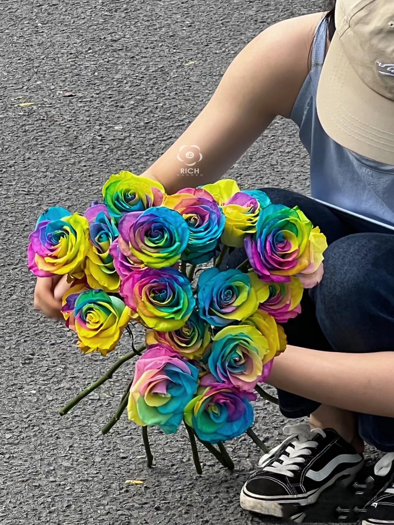 raibow-rose Amazon.com : Farm Direct Fresh Rainbow Roses | 24 Rainbow
