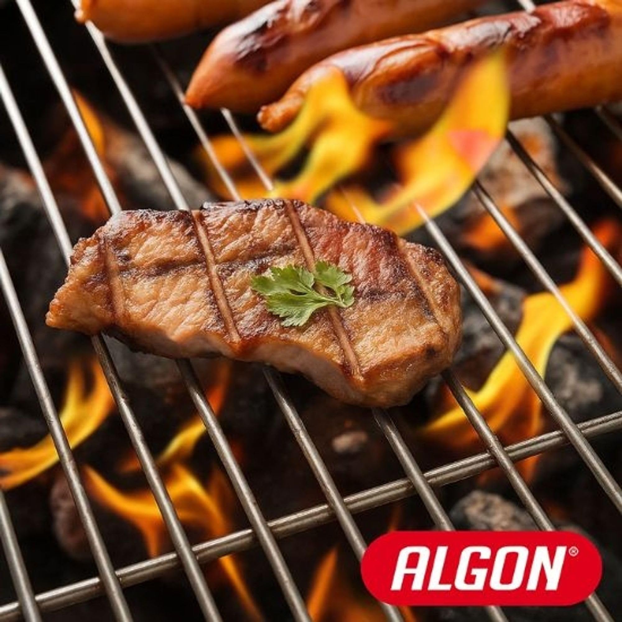 ALGON Parrilla Barbacoa 60x40cm Zincada, Rejilla de Acero para BBQ Carbón, Ideal para Barbacoa Portátil sin Humo, Accesorios Barbacoa y Grill Barbecue