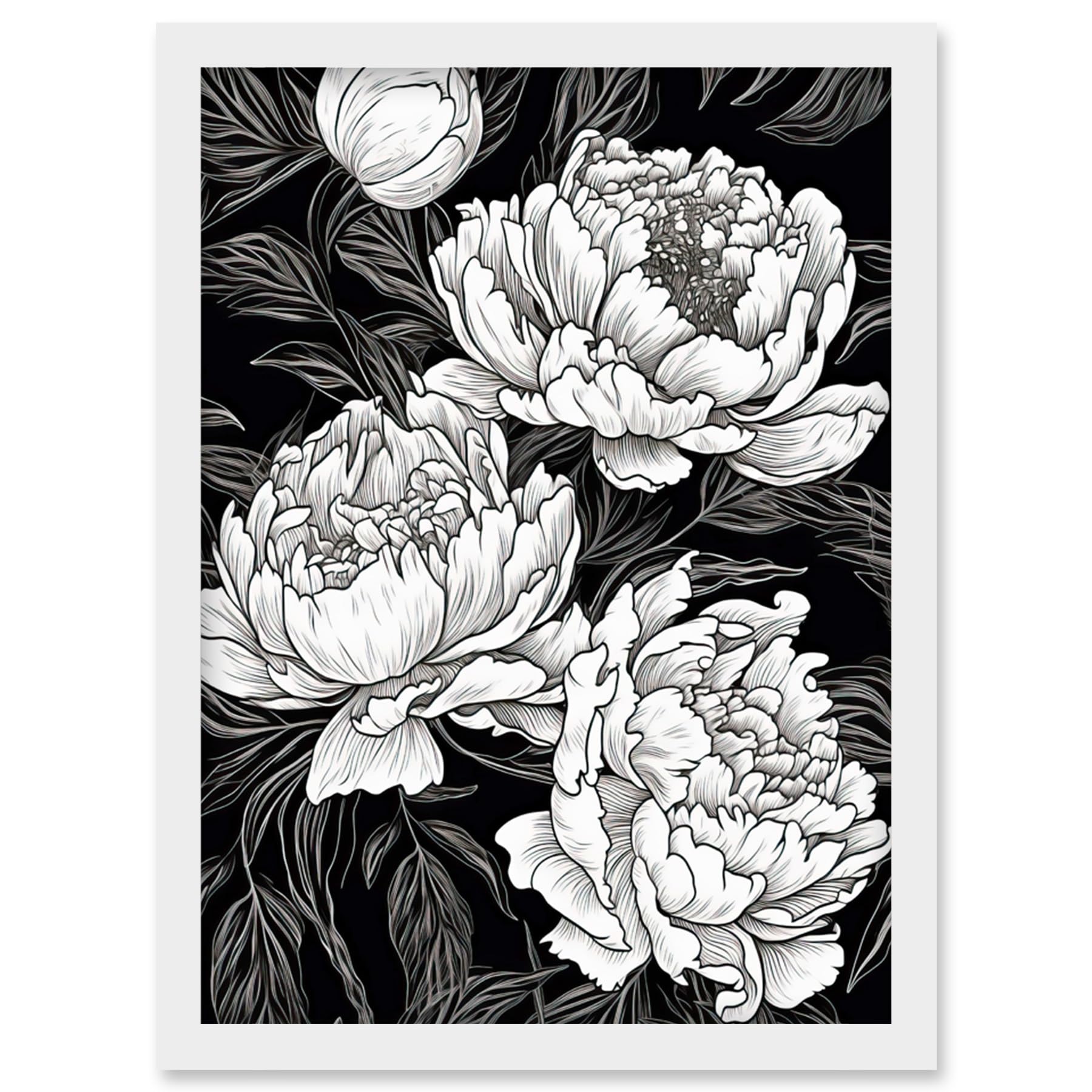 Artery8 Peony Flower Blooms White on Black Illustration Artwork Framed Wall Art Print A4