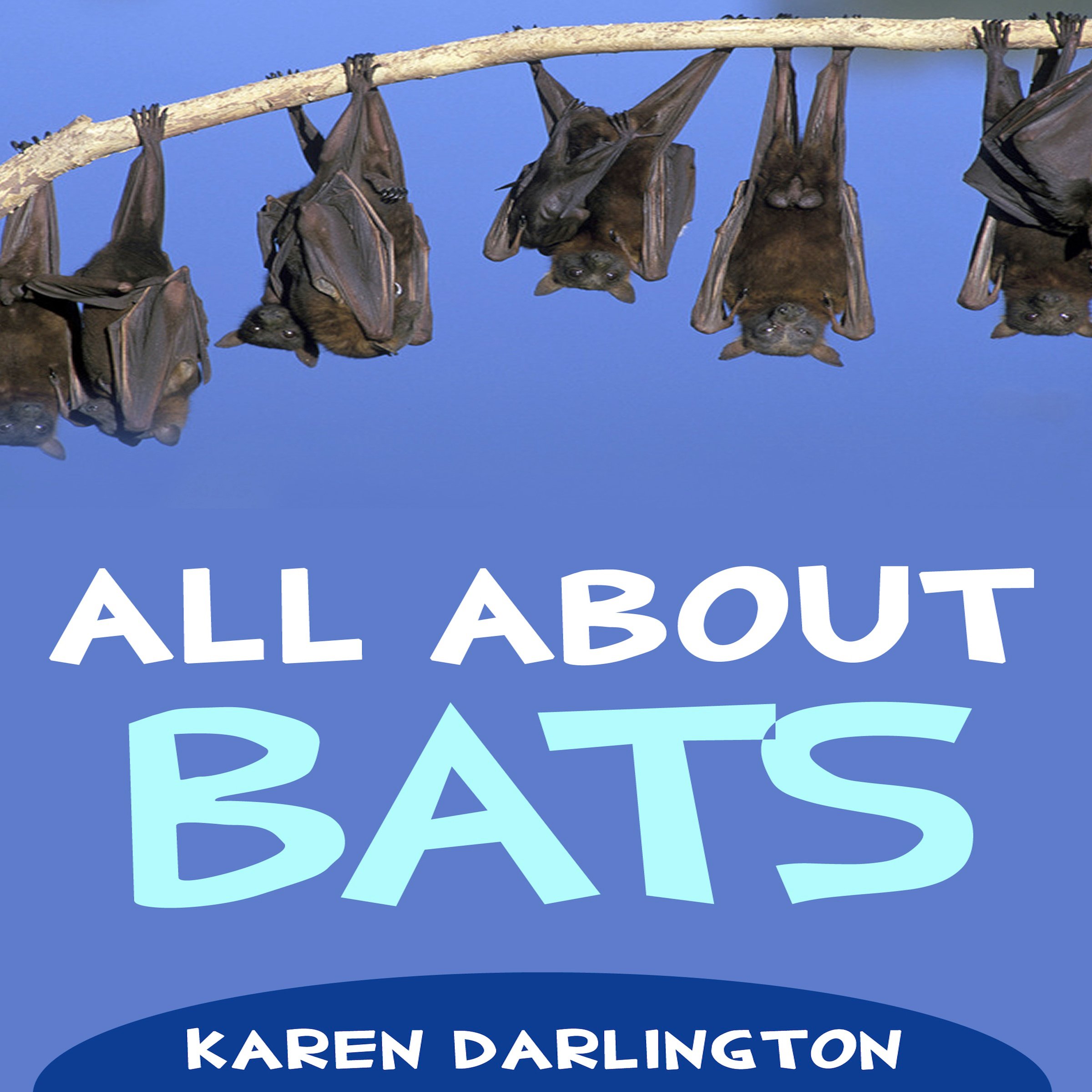 All About Bats