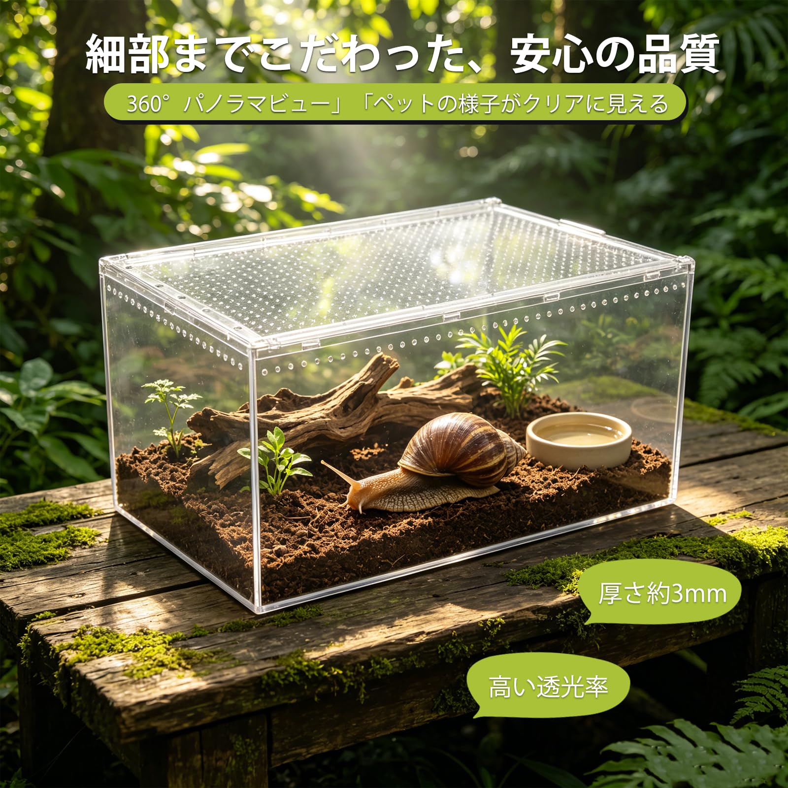Amazon | 30×20×15cm 爬虫類 ケージ 両生類飼育ケース 昆虫ケージ 通気