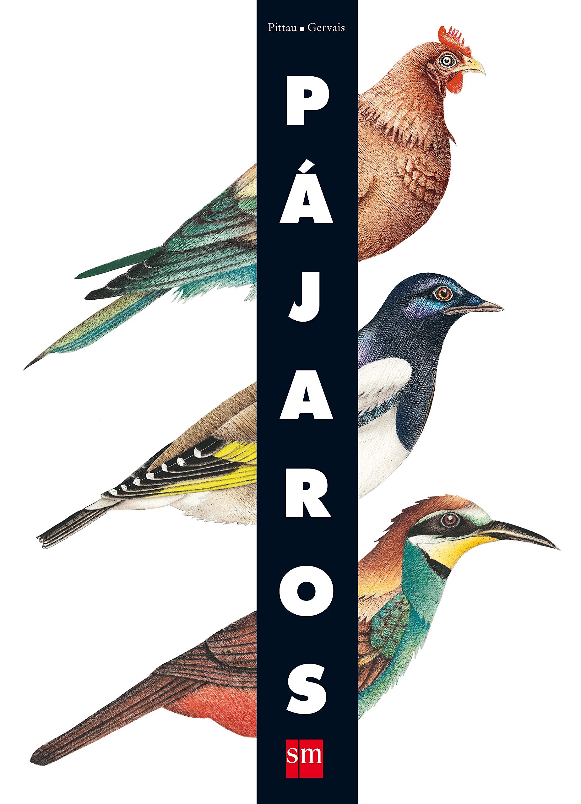 Pájaros (Albumes ilustrados)