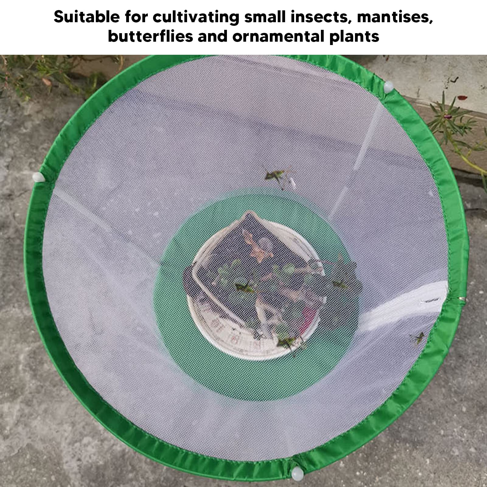 NDNCZDHC Insect Mesh Cage, Insect Observation Cage, Plants and Insects Ornamental Cage, Cylindrical Transparent Cage for Ornamental Plants