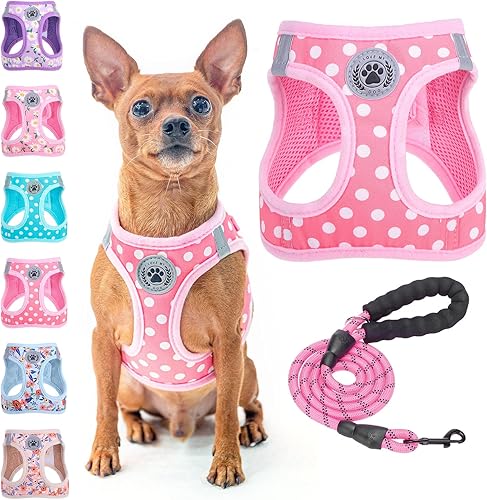 BEAUTYZOO Conjunto de arnés y correa para perro arnés reflectante con patrón de lunares sin tirones sin estrangulamiento para perros XXS XS S S
